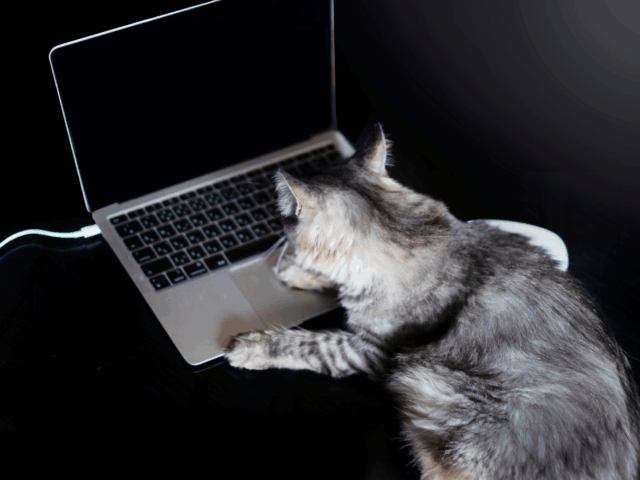 えみふるの猫背矯正で印象から変えていきましょう！